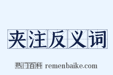 夹注反义词是什么意思的图片